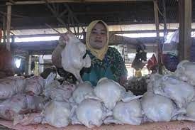 Harga Ayam Potong di Kupang Meroket
