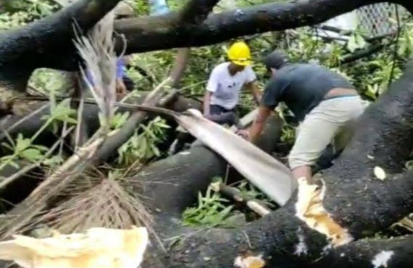 Pondok Runtuh Ditimpa Pohon, 4 Meninggal, 4 Dilarikan ke RS