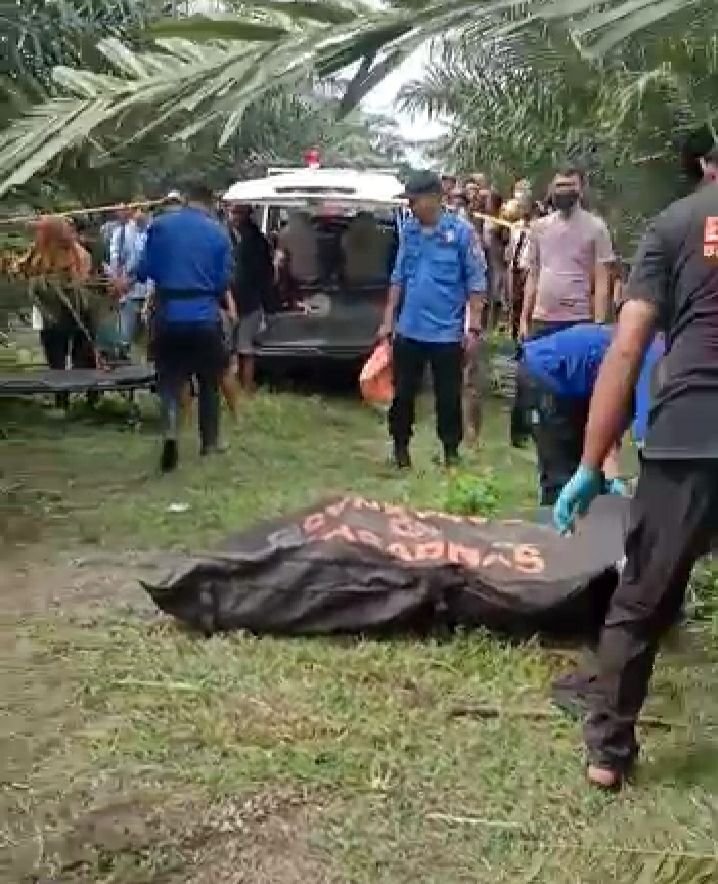 Pengembala Lembu Ditemukan Tewas di Kebun Sawit Pagarmerbau
