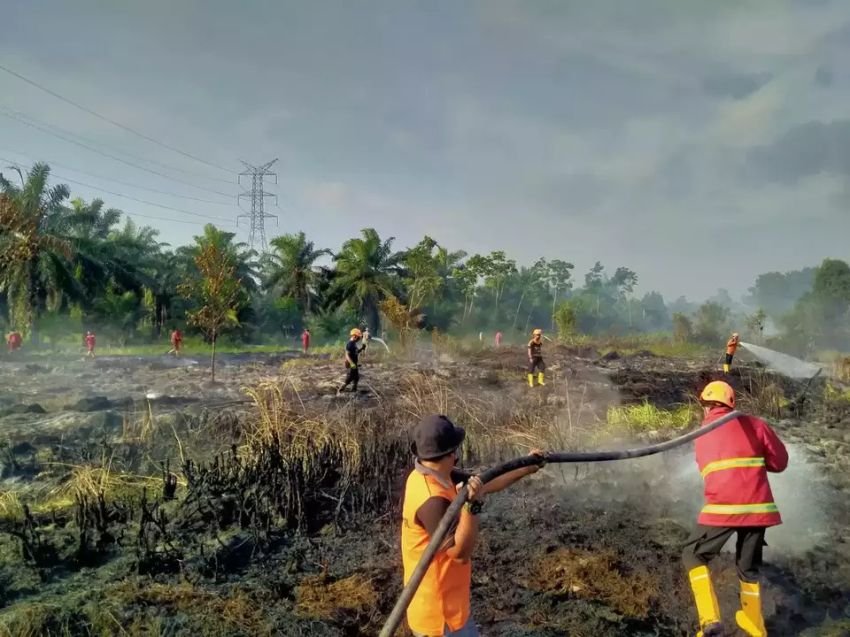 956 Hektare Lahan di Riau Terbakar, 3 Kabupaten Tercatat Terluas Kasus Karhutla