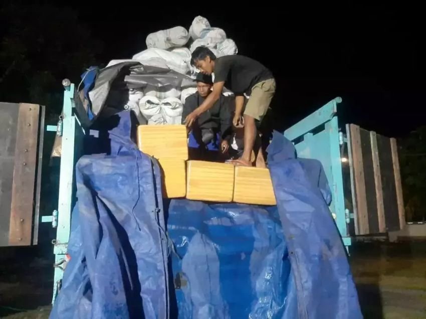 Polda NTB Gagalkan Penyelundupan Daging Penyu Hijau yang Dilindungi, Tiga Pelaku Diringkus