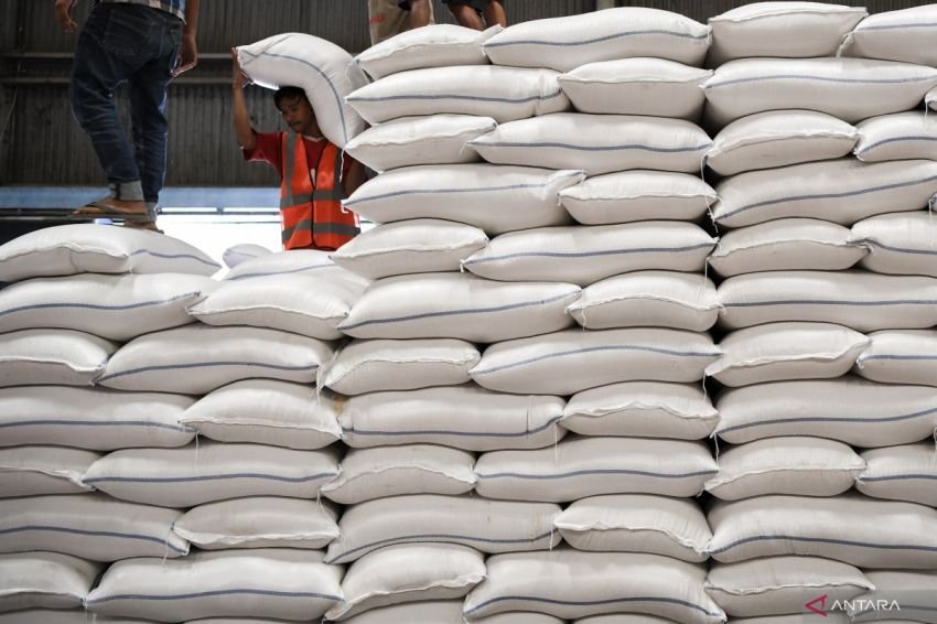 Harga Beras Melambung, IKAPPI Nilai Stok Beras Nasional Kurang Memadai