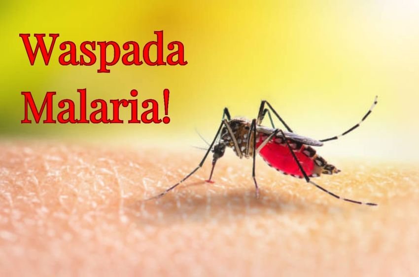 Malaria Mulai Merebak di Sergai, Tantangan Bagi Kadiskes yang Baru
