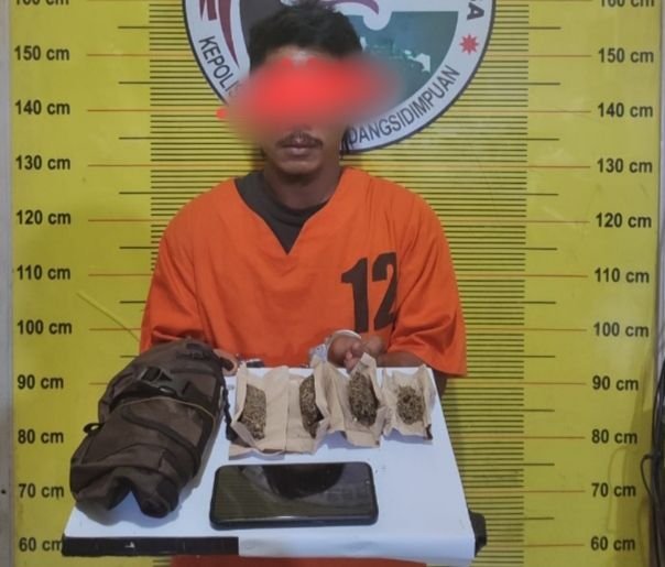 Supir Angkutan Umum Dibekuk Polisi Saat Edarkan Ganja