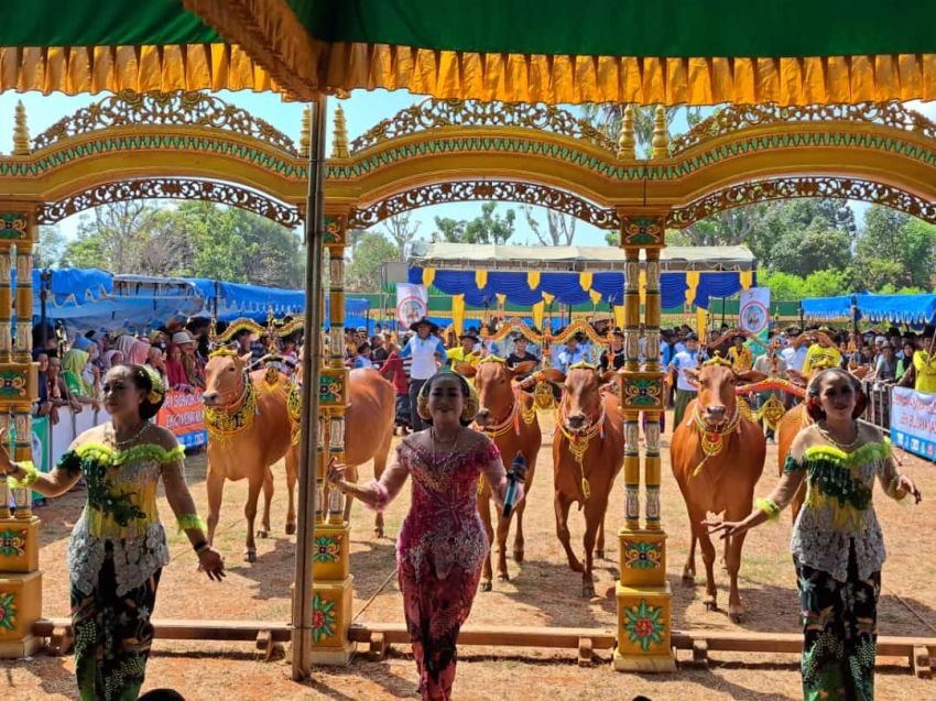 PT Pupuk Indonesia Gelar One Day Promotion di Festival Budaya Sapi Sonok