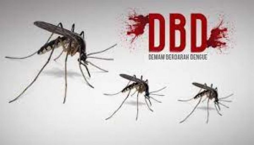 Kasus DBD Meningkat, Pasien di Ketapang Dirawat di Lorong Rumah Sakit, Dua Meninggal Dunia