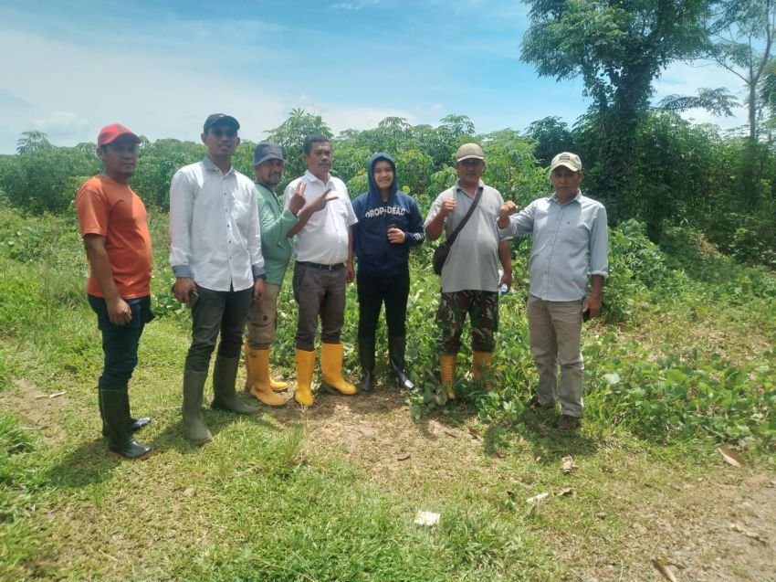 PTPN2 Segera Okupasi Areal HGU Kebun Limau Mungkur, Penggarap Disomasi