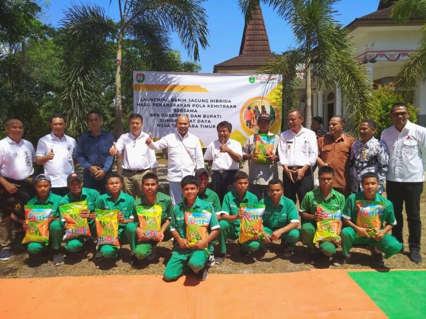 Gubernur Laiskodat Launching Benih Jagung Hibrida Hasil Penangkaran Pola Kemitraan
