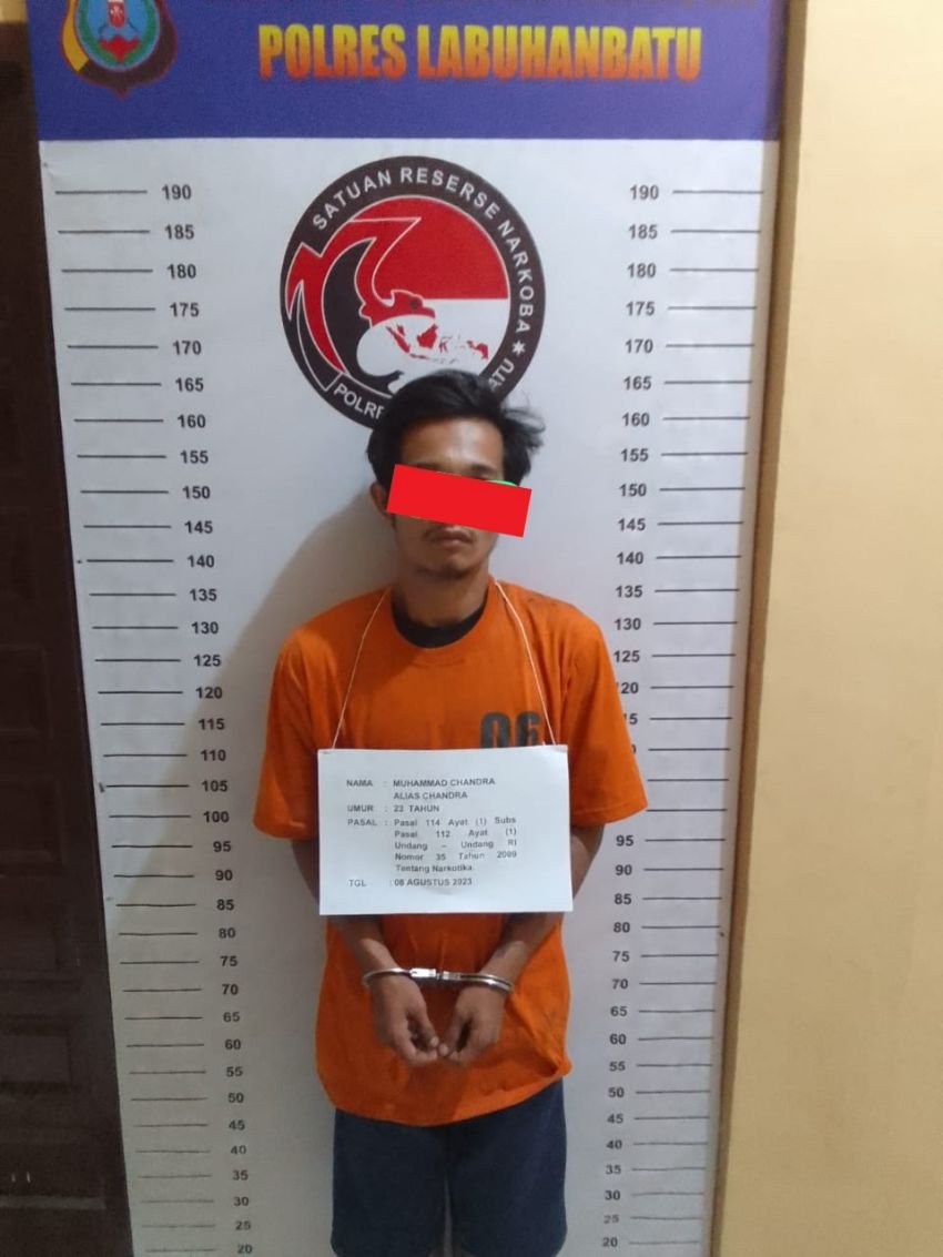 Polres Labuhanbatu Ciduk Pemuda Pengedar Sabu di Paindoan