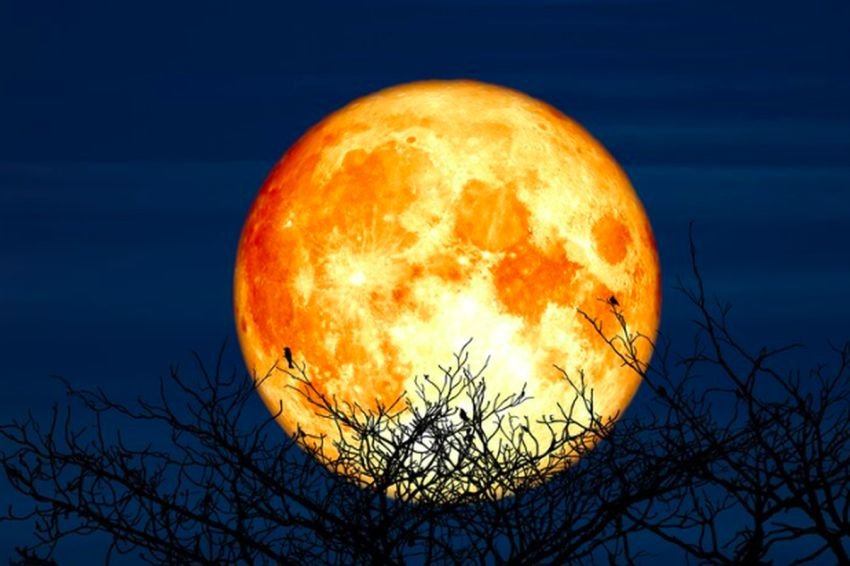 September Ini, Fenomena Supermoon Terjadi Lagi