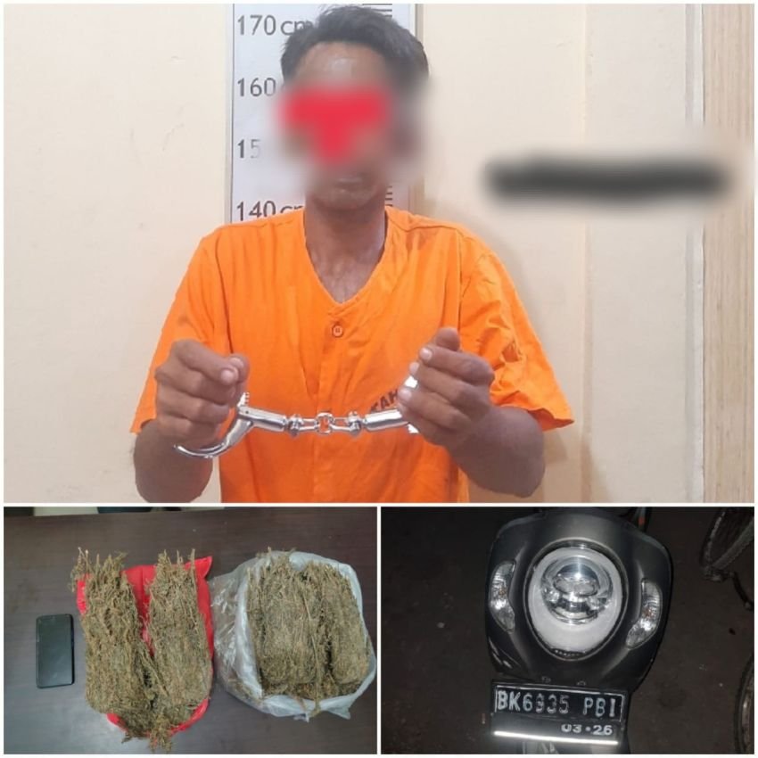 Jual Narkoba Kepada Polisi, Bandar Asal Langkat Diciduk, 2 Kg Ganja Diamankan