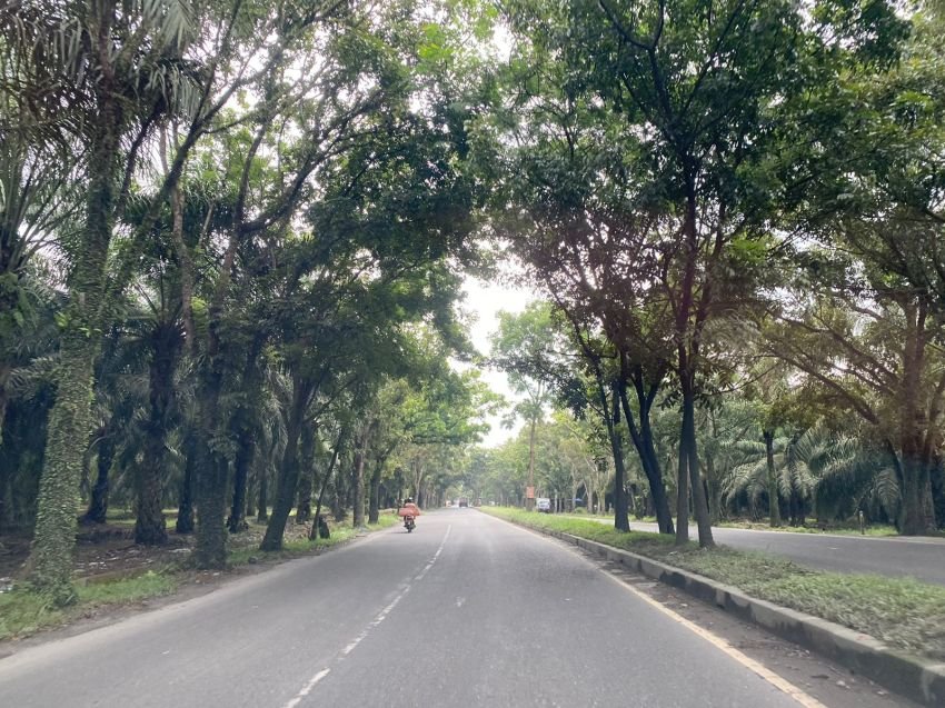 Anggota DPRD Sumut Soroti Kondisi Gelap Jalan Megawati