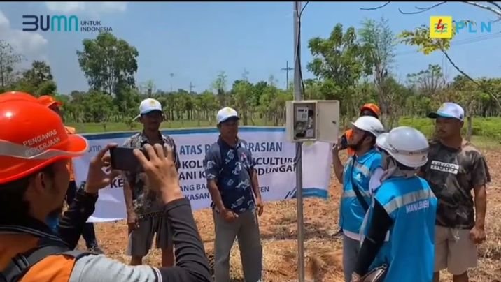 Kelompok Tani Maddungan Dapat Program Kolektif dari PLN UP3 Pamekasan