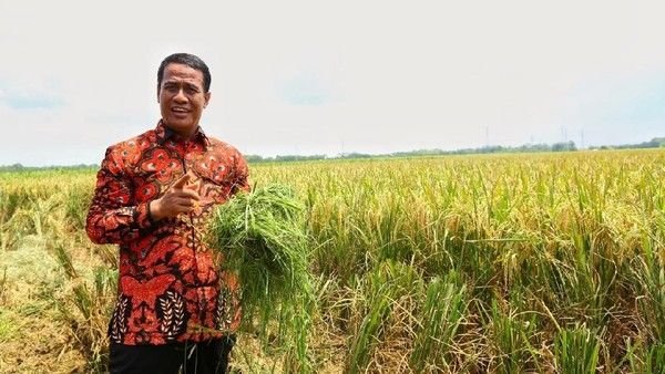 Jokowi Lantik Amran Sulaiman sebagai Menteri Pertanian RI