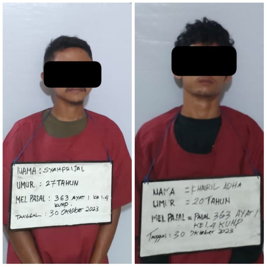 Dua Pelaku Pencurian Hewan Ternak Diringkus Polisi