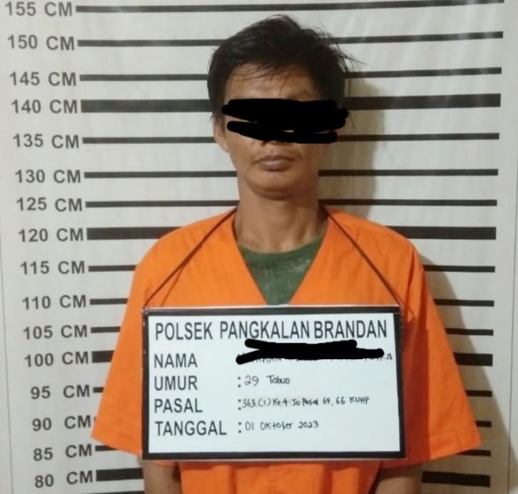 Curi 850 Bebek, Pria di Pangkalan Brandan Ditangkap Polisi
