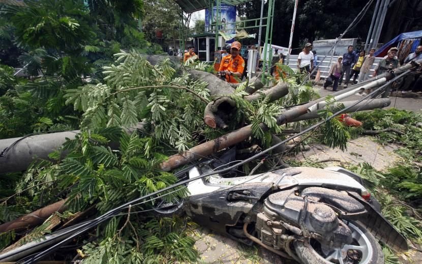 Belasan Motor di Medan Tertimpa Pohon Tumbang