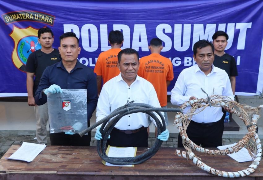Curi Kabel, Dua Pria di Sergai Ditangkap Polisi
