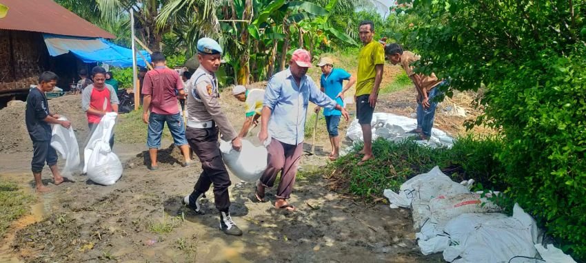 Antisipasi Banjir Meluas, Polres Langkat-Polsek Tanjung Pura Bantu Warga Buat Tanggul