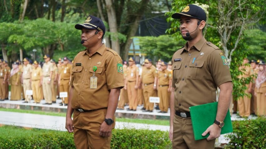Pengumuman Hasil SKD CPNS 2023 Telah Keluar, Ini Cara Cek-nya