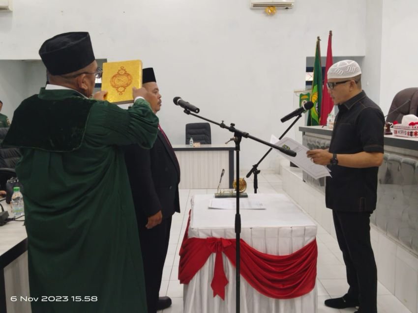 Pindah Partai, Akhirnya Awaluddin Nasution di PAW