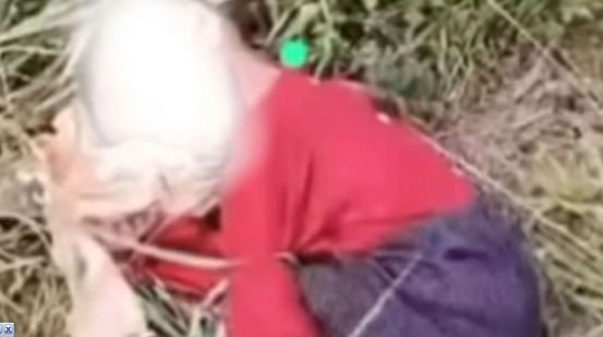 Viral Anak 3 Tahun Ditinggal Orang Tuanya di Semak-semak, Netizen Kesal