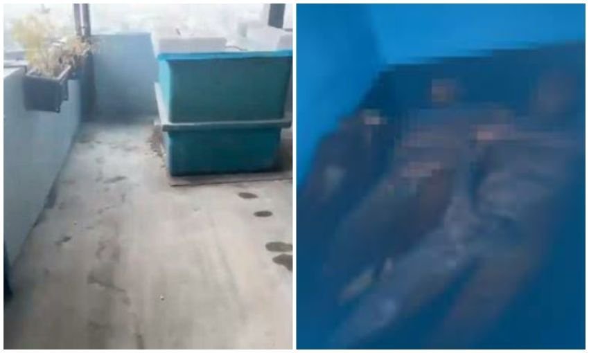 Ahli Forensik Bahas Kasus Unpri, Kok Cadaver Berada di Ruang Terbuka