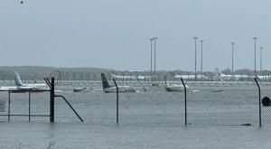 Banjir Landa Queensland, Australia, Bandara Tergenang, Penampakan Buaya Muncul di Kota