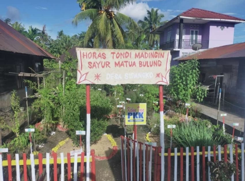 Pemkab Tapsel Dorong Budi Daya TOGA