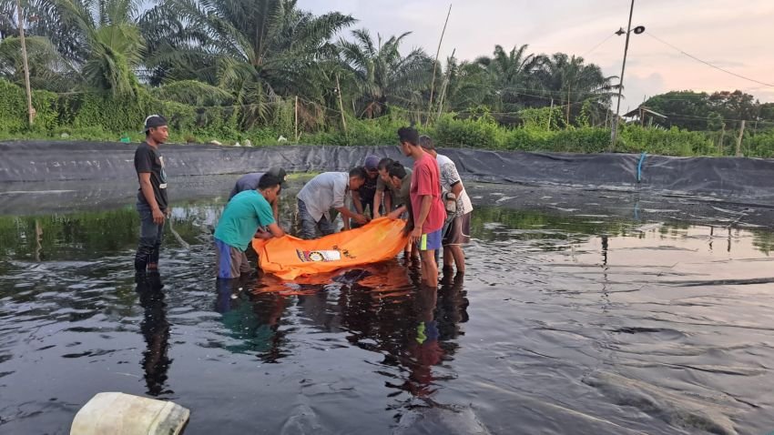 Geger, Sesosok Mayat Pria Ditemukan Warga Ngambang di Tambak