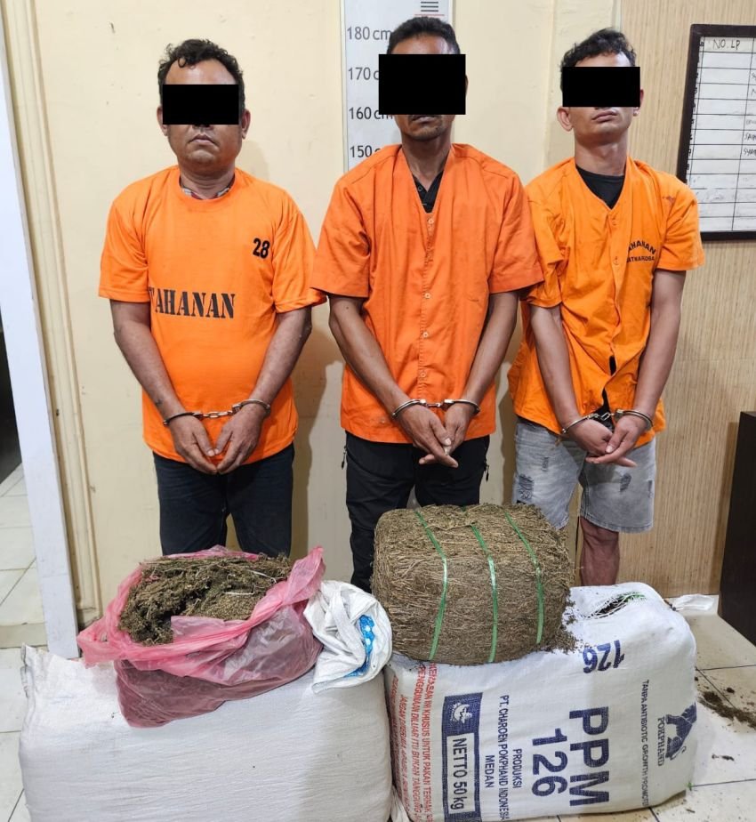 32 Kg Ganja Asal Aceh Gagal Edar di Langkat, Polisi Ringkus 3 Pelaku