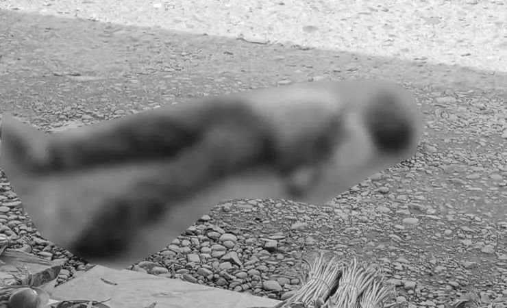 Identitas Terduga Pembunuh Lansia di Desa Poto Kupang Sudah Diketahui, Kapan Ditangkap?