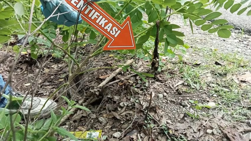 Fakta Ibu Muda di TTU Mutilasi Bayi: Hasil Hubungan Gelap, Dipotong dengan Pisau Cutter Saat Lahiran