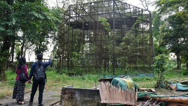 Medan Zoo, Deritamu Kini, Hidup Segan Mati Malu-malu