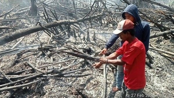 Pria Asal Rokan Hilir Jadi Tersangka Gegara Bakar Lahan untuk Kebun Sawit