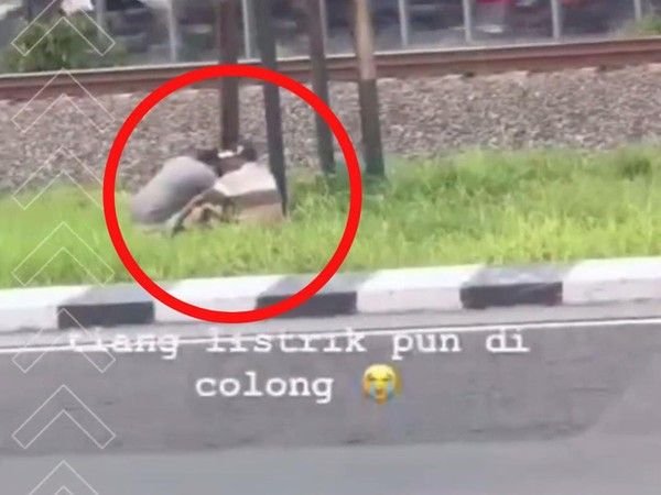 Gawat, Tiang Listrik Hendak Dicuri, Aksi Dilakukan Siang Bolong