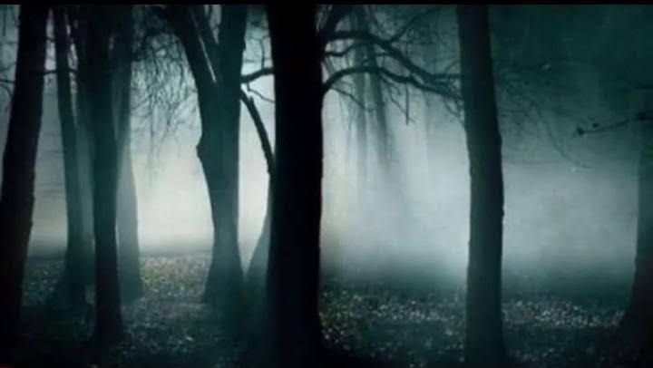 Tiba-tiba Pulang Setelah Hilang 7 Hari di Hutan, Pria di Nias Dikira Hantu