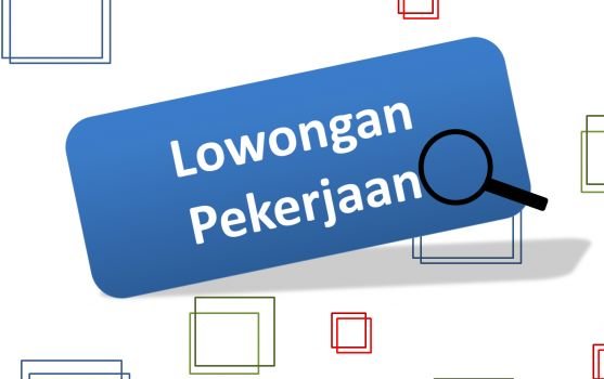 Mau Gaji Rp12 Juta Per Bulan? Coba Lowongan Kerja Berikut Ini