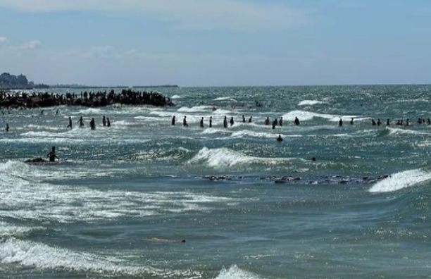18 Warga Gaza Tewas saat Ambil dan Berebut Bantuan yang Diterjunkan ke Laut