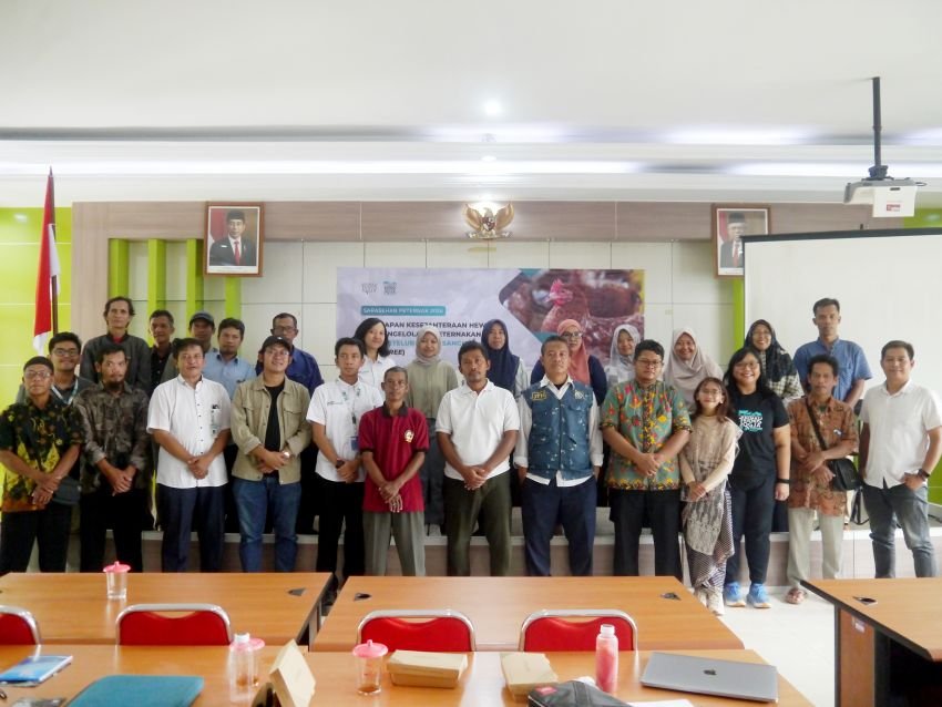 Animal Friends Jogja Edukasi Peternakan Ayam Petelur Bebas Sangkar