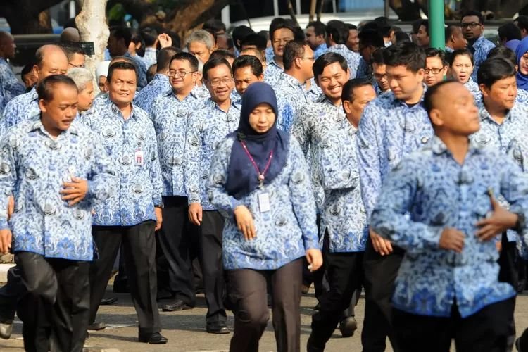 Biar Gampang Jadi PNS, Pilih 4 Jurusan Kuliah Ini, Nomor 3 Favorit Mahasiswa