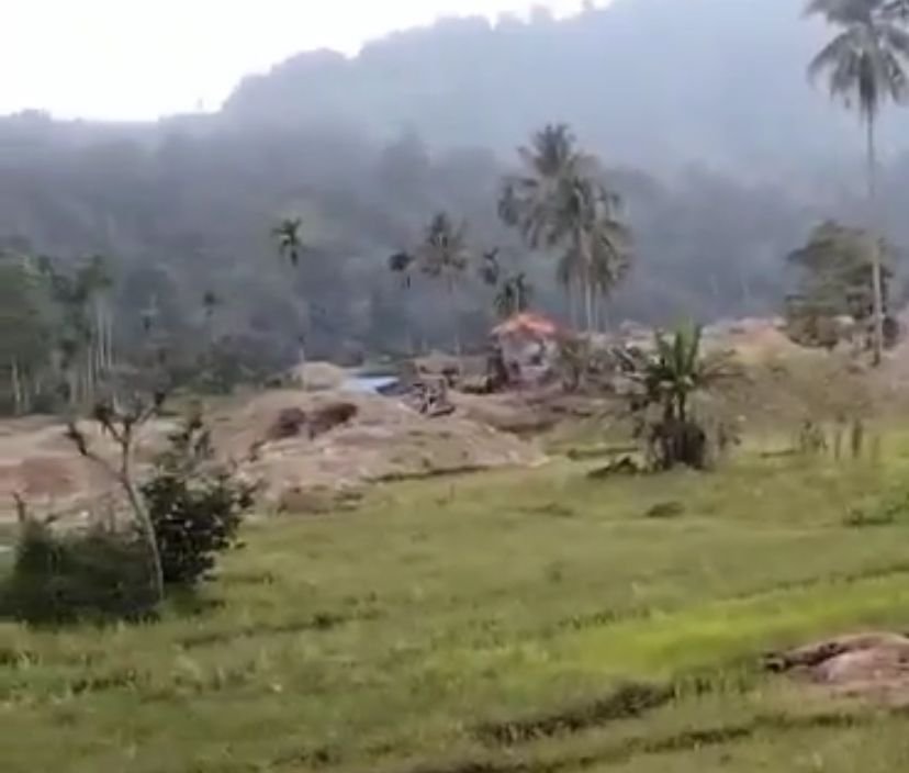 Kapoldasu Dan Pangdam Diminta Tertibkan PETI di Kotanopan