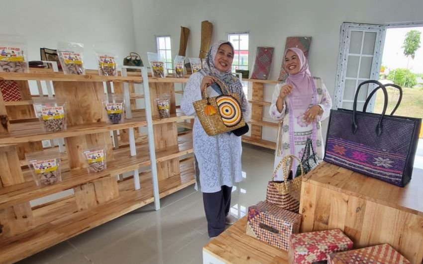 Sambangi Gerai di Rest Area, Ketua Dekranasda Ajak Masyarakat Dukung Peningkatan UMKM Sergai