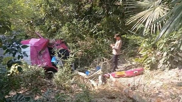 Bus Angkut Wisatawan Masuk Jurang di Aceh, 23 Orang Terluka