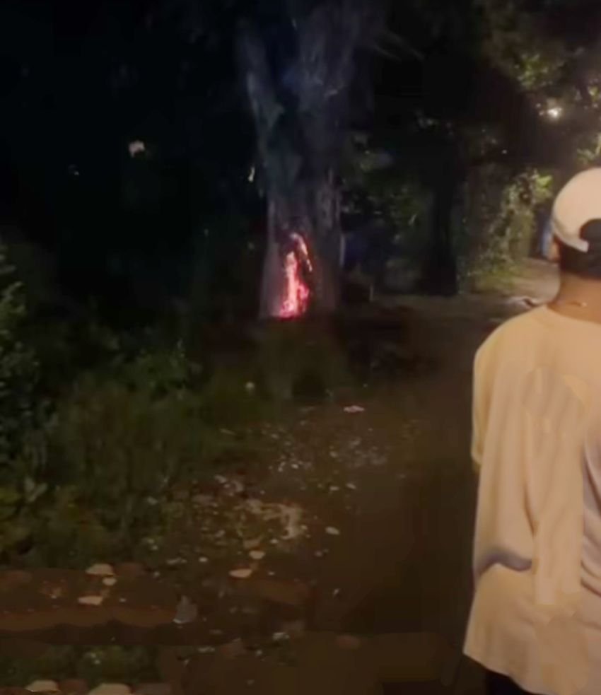 Viral... OTK Bakar Pohon Besar di Jalan DI Panjaitan, Tim Damkar Turun ke Lokasi