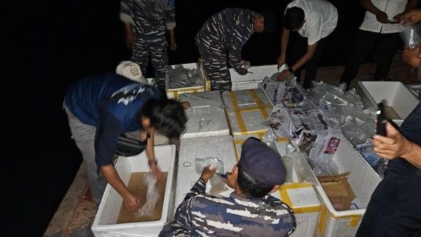 Penyelundupan Benih Lobster Rp 15,9 M Digagalkan di Sumsel, 2 Pelaku Diamankan