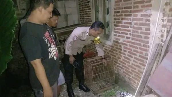 Bungkusan Plastik Isi Bayi Gegerkan Warga Sirongge Purbalingga
