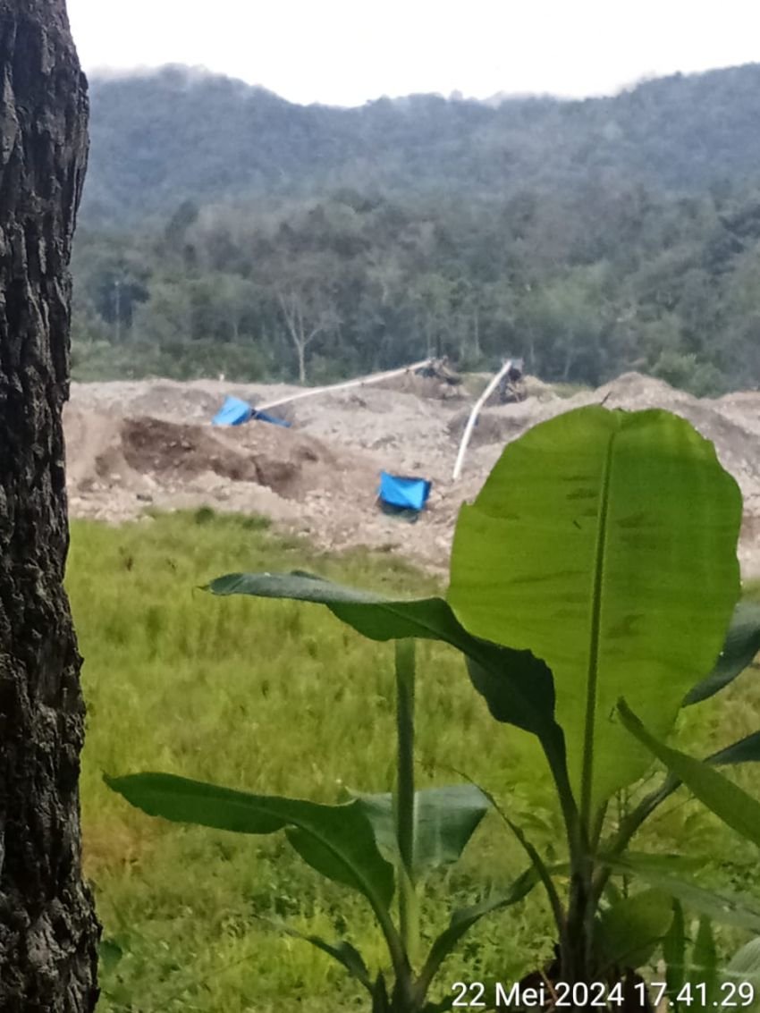 Mafia PETI Kembali Beraksi, Polres Madina Diminta Tegas