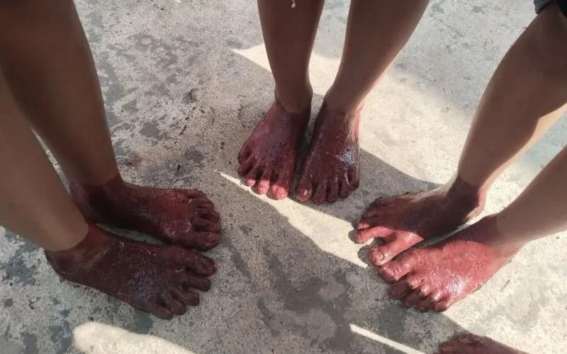 Tradisi Unik di Palembang, Celupkan Kaki ke Dalam Darah Hewan Kurban, Ini Tujuannya