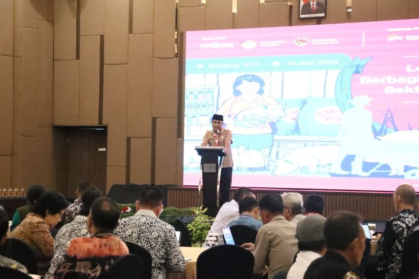 Pemprov NTT dan PRISMA Menggelar Lokakarya Berbagi Pembelajaran Sektor Babi di NTT